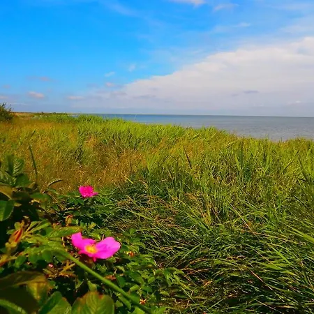 Prázdninový dům Holiday Jensensvej H- 932